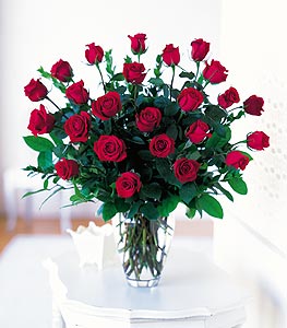Valentines day 2 dozen red roses
