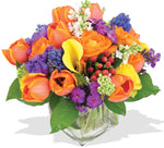 Vibrant Colors